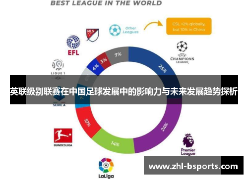 英联级别联赛在中国足球发展中的影响力与未来发展趋势探析