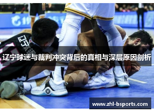 辽宁球迷与裁判冲突背后的真相与深层原因剖析