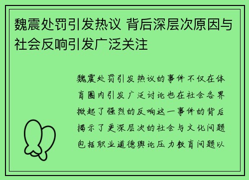 魏震处罚引发热议 背后深层次原因与社会反响引发广泛关注